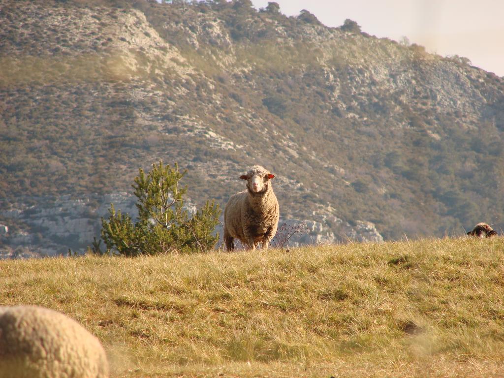 Готель Le Coq En Pate La Roque-Esclapon Екстер'єр фото